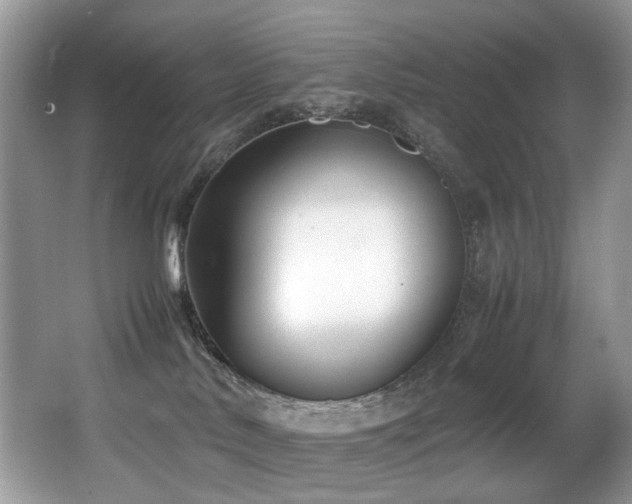 X0000066980042200603241248
