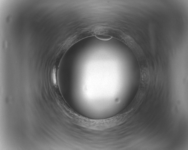X0000066980046200603241248