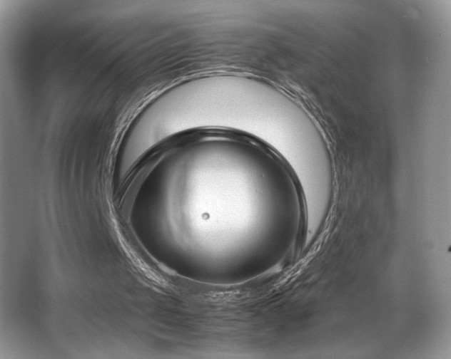 X0000066980049200603241247
