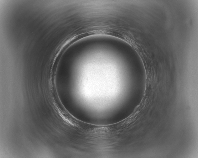 X0000066980050200603241247
