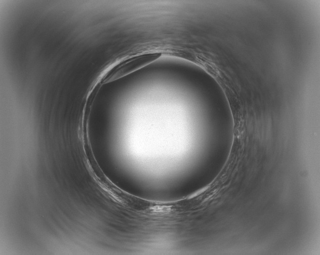 X0000066980052200603241247