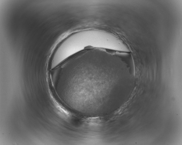 X0000066980054200603241247