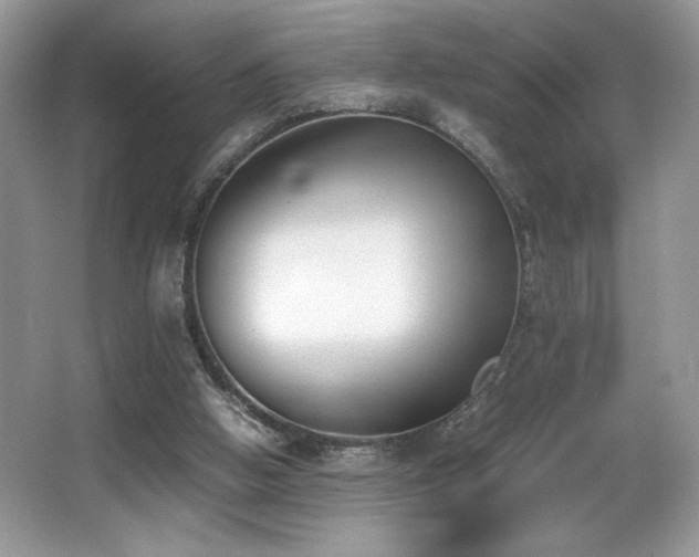 X0000066980058200603241247