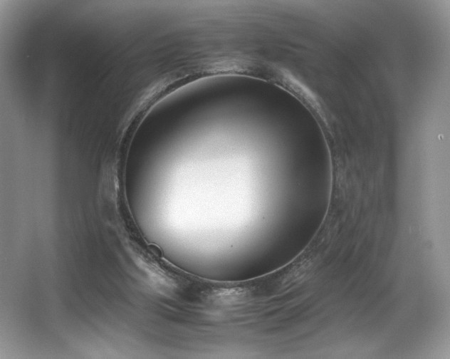 X0000066980059200603241247
