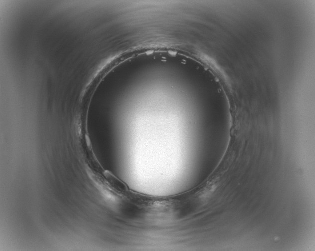 X0000066980060200603241247