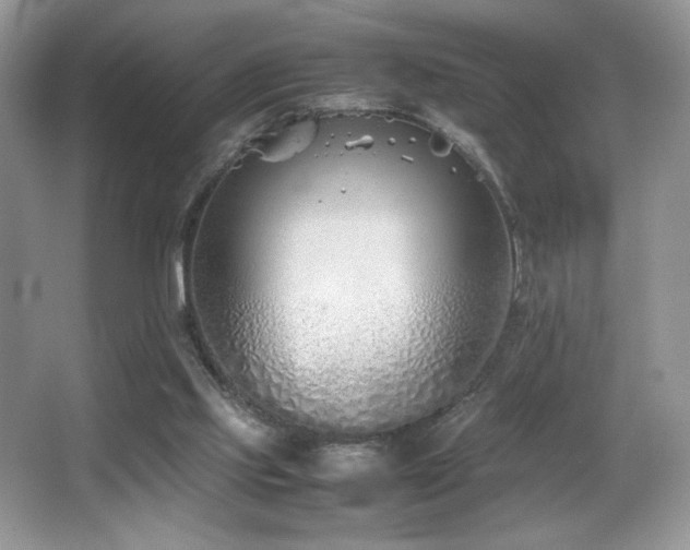 X0000066980061200603241247