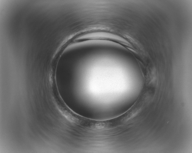 X0000066980064200603241247