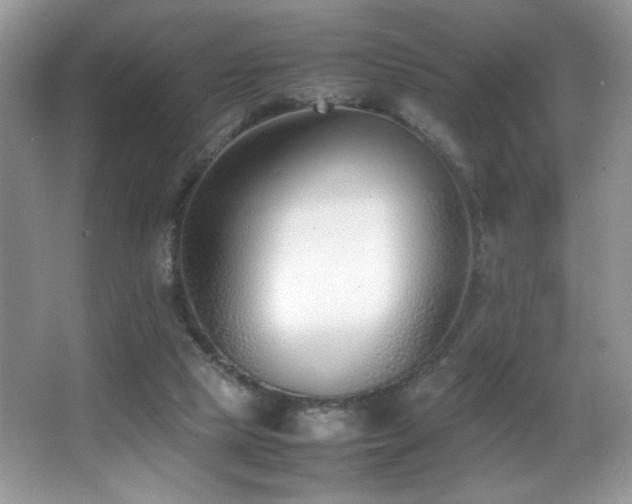 X0000066980065200603241247