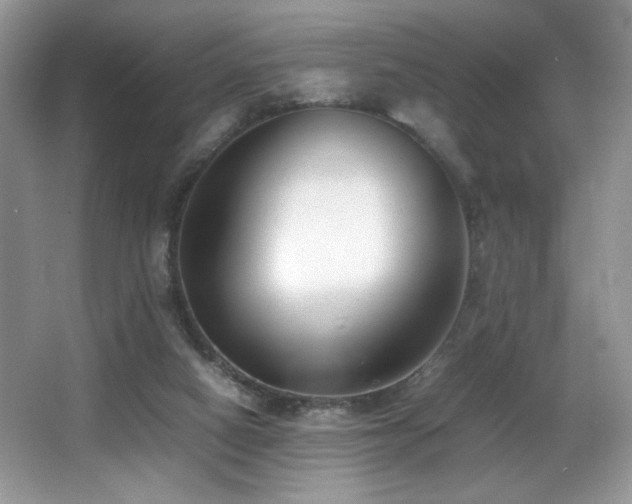 X0000066980066200603241247