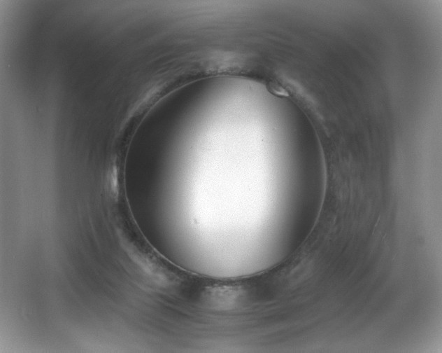 X0000066980067200603241247