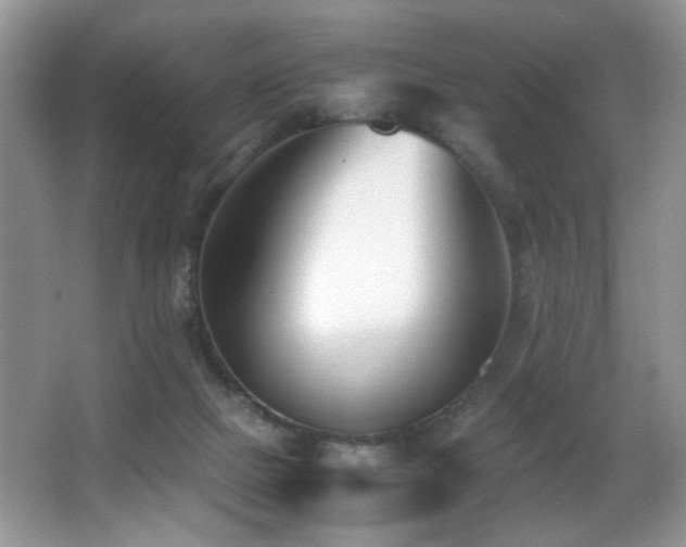 X0000066980073200603241248