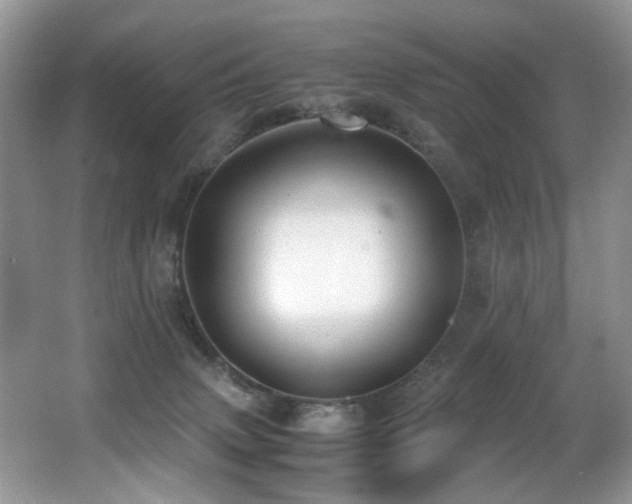 X0000066980083200603241248
