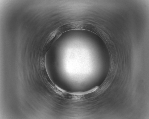 X0000066980096200603241248