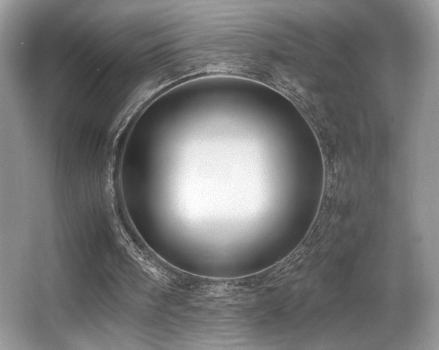 X0000066980098200603241247
