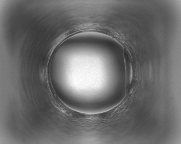 X0000066980099200603241247