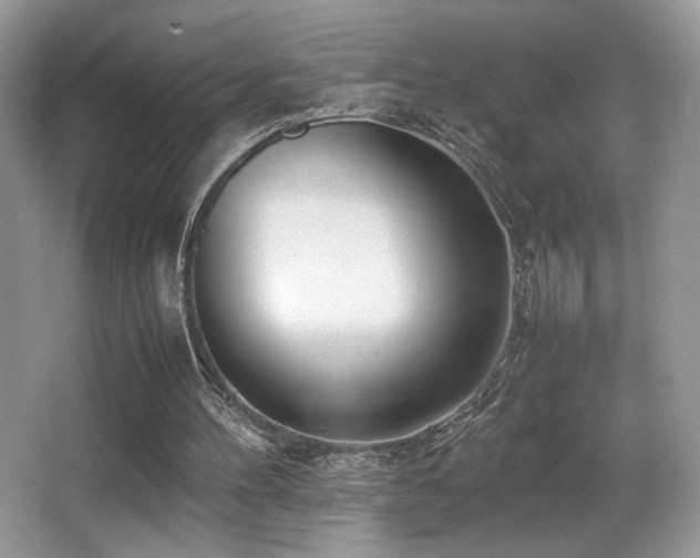X0000066980100200603241247