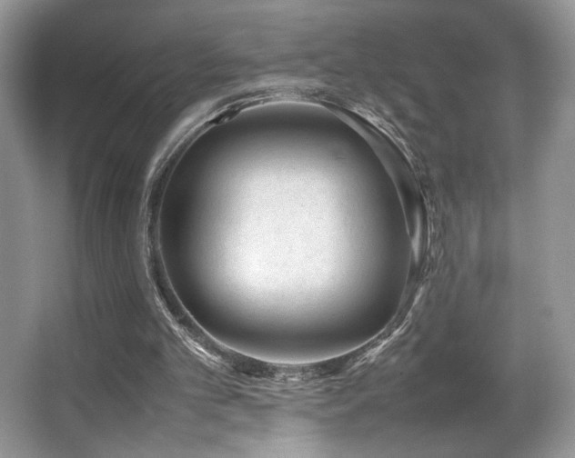 X0000066980101200603241247