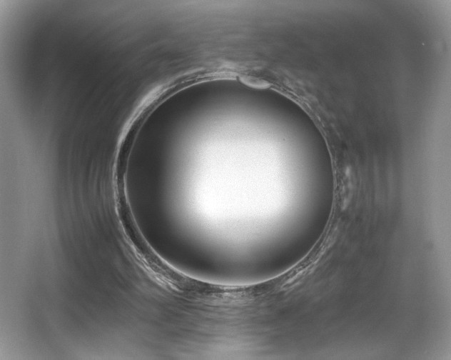 X0000066980102200603241247