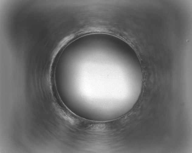 X0000066980104200603241247