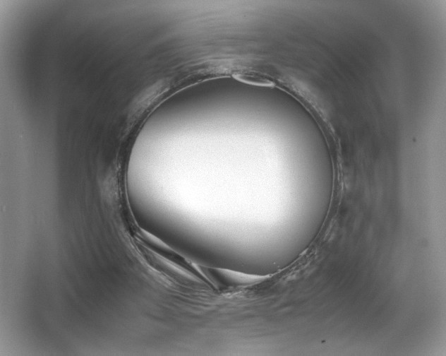 X0000066980105200603241247