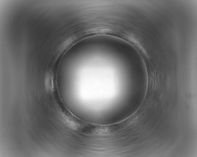 X0000066980110200603241247
