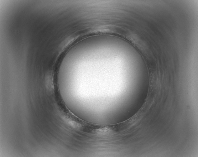 X0000066980112200603241247