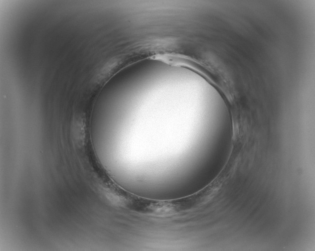 X0000066980113200603241247