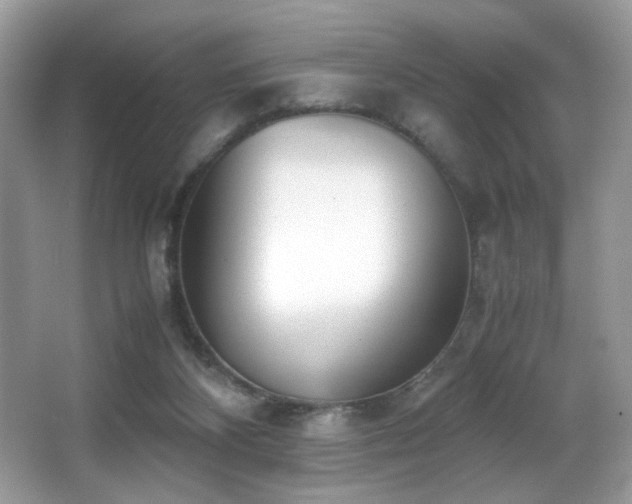 X0000066980116200603241247