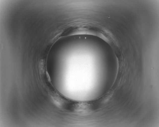 X0000066980121200603241247