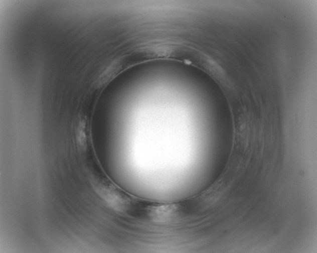 X0000066980122200603241247