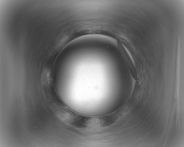X0000066980123200603241247
