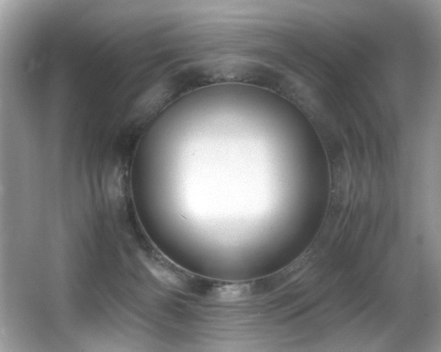 X0000066980126200603241247