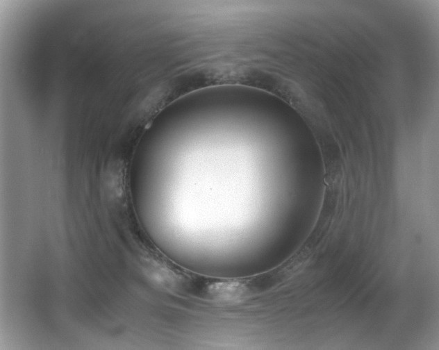 X0000066980133200603241246