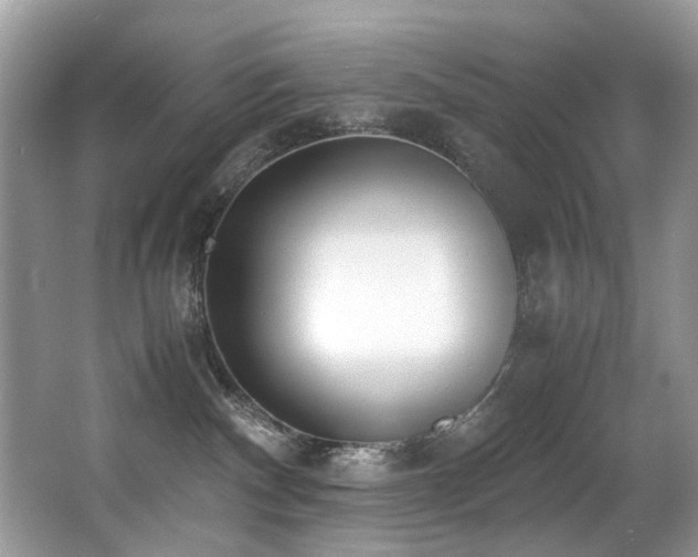 X0000066980140200603241246