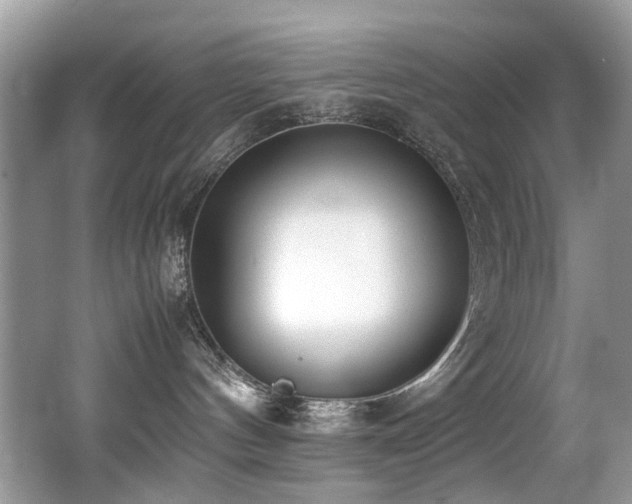 X0000066980144200603241246