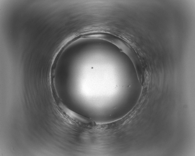 X0000066980148200603241246