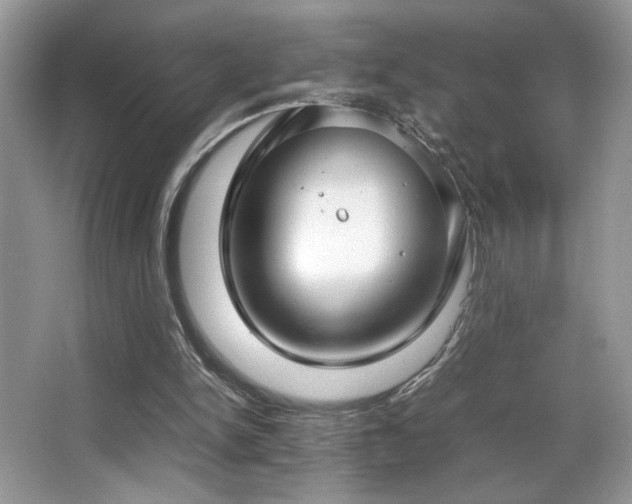 X0000066980150200603241246