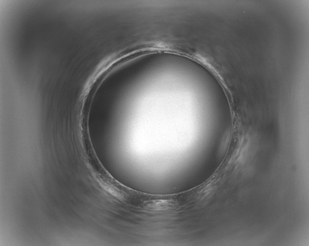 X0000066980151200603241246