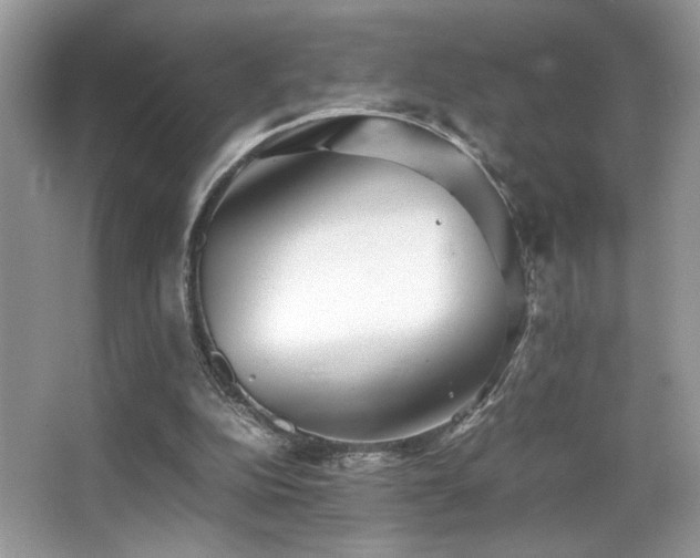 X0000066980152200603241246