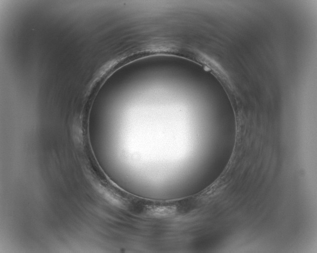 X0000066980155200603241246