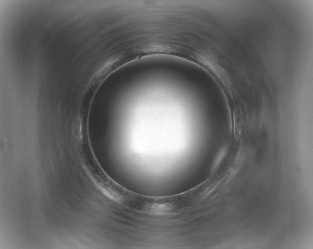 X0000066980157200603241246