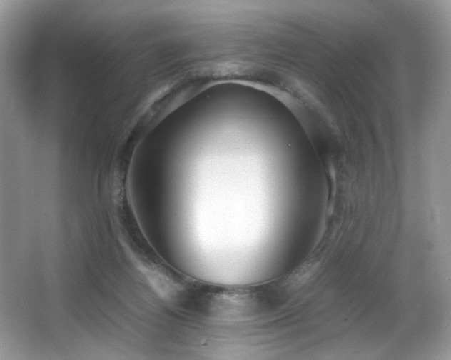 X0000066980164200603241246