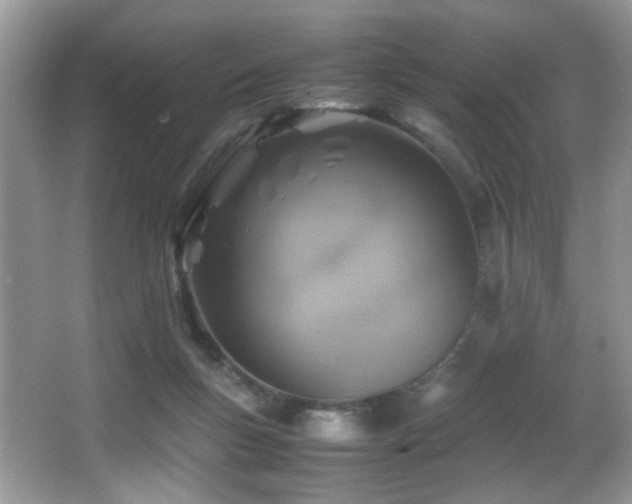 X0000066980167200603241246