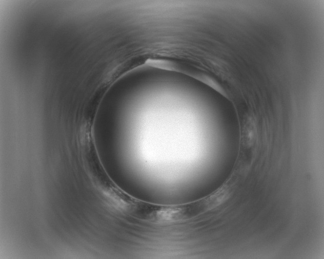X0000066980172200603241246