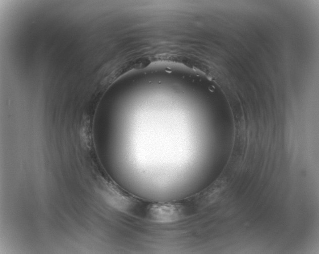 X0000066980181200603241246