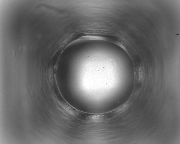 X0000066980184200603241246