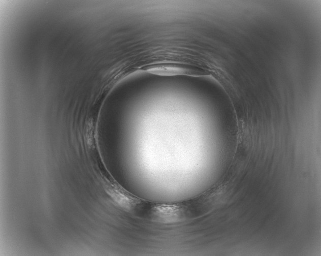 X0000066980189200603241246