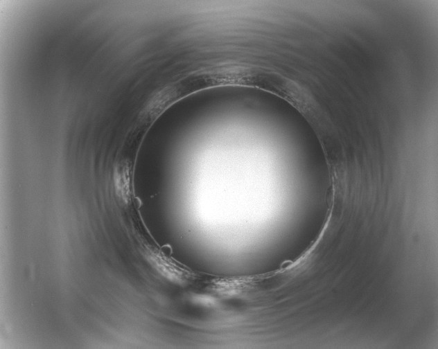 X0000066980190200603241246