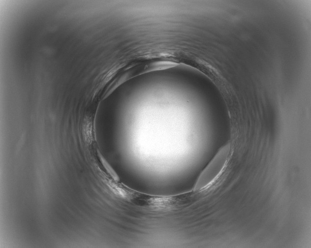 X0000066980192200603241246