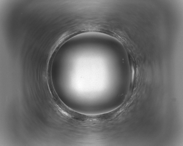 X0000066980195200603241245
